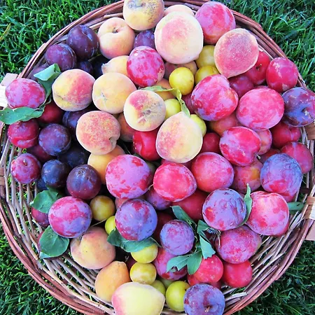 ゲストハウス Quinta Vale Do Homem アマレス