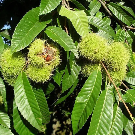Quinta Vale Do Homem Gasthuis Amares