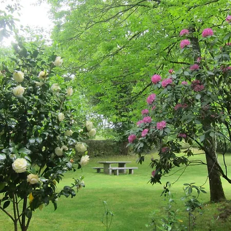 Quinta Vale Do Homem Gasthuis 3*