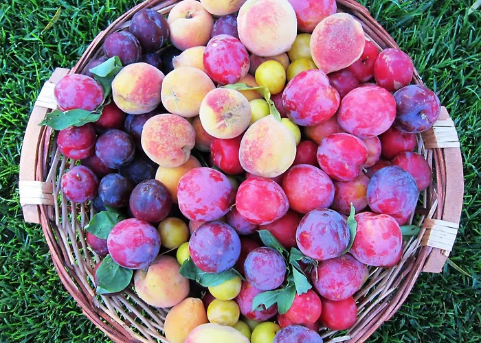 Konukevi Quinta Vale Do Homem Amares