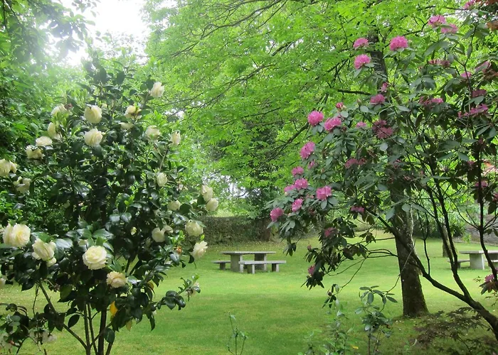 Quinta Vale Do Homem ゲストハウス 3*